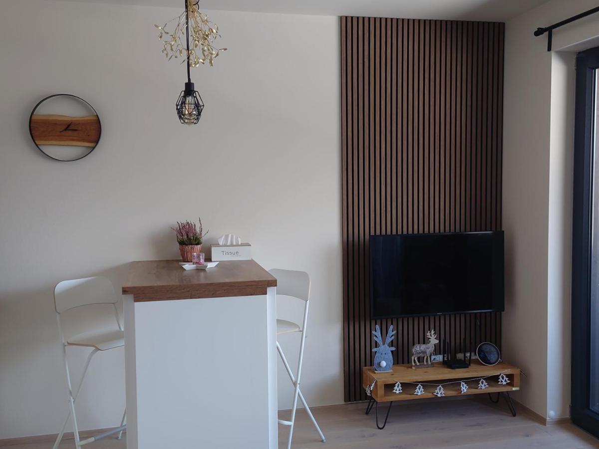 Apartamento U šumavské Lípy